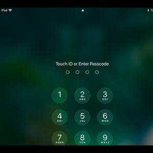 Meet your Posher, Grady